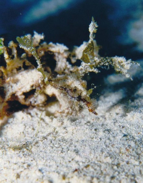 Image00012